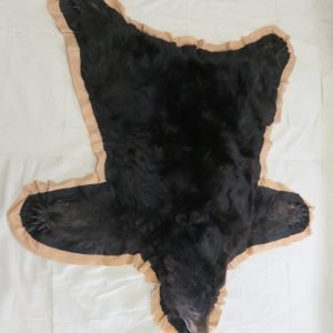 Alaskan Black Bear Taxidermy Rug. B-117R