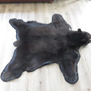 Alaskan Black Bear Taxidermy Rug. B-146R