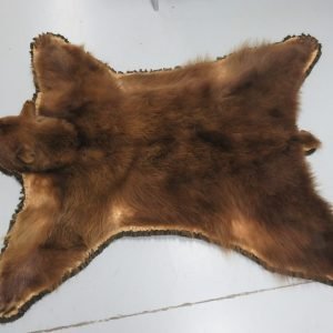 Bear Skin Rug. B-141R