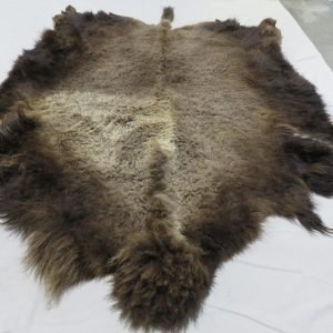 Bison/Buffalo Skin/Hide. O-117B