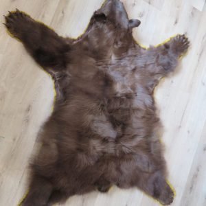 Black Bear Rug. B-144R