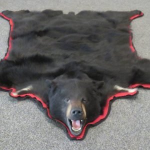 Black Bear Skin Rug. B-142R
