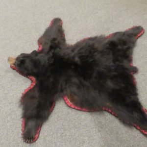 Black Bear Taxidermy Rug. B-119R
