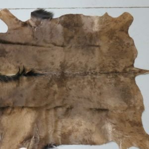 Blue Wildebeest Hide/Skin. X-146WI