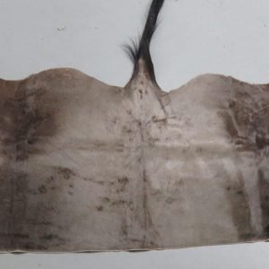Blue Wildebeest Tanned Back Hide. X-148WI