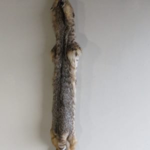 Bobcat Taxidermy Fur CB-104