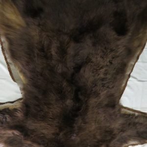 Brown Bear Taxidermy Rug B-112R