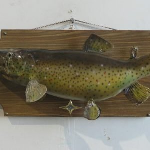 Brown Trout on plaque. F-117TR