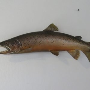 Brown Trout RealSkin. F-104BR