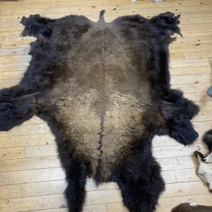 Buffalo Hide #2