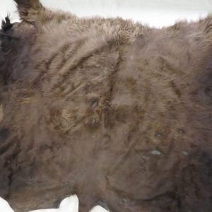 Buffalo Hide/Skin O-110B