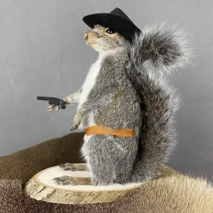 Cowboy Squirrel Taxidermy
