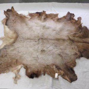 Elk Blanket Taxidermy Tanned Hide E-107S