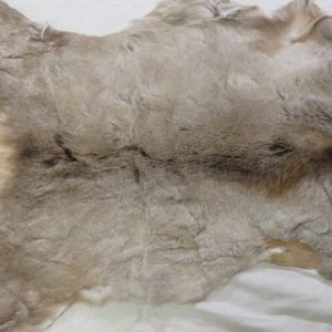 Elk Skin Taxidermy Hide E-108S