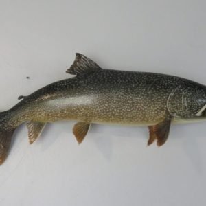 Lake Trout 35 RealSkin. F-111LT