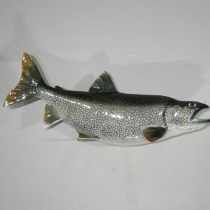 Lake Trout Taxidermy. F-110LT