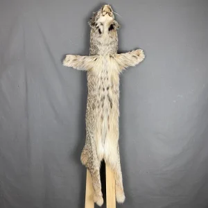 Lynx Hide