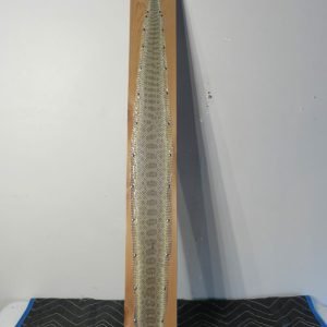Montana Prairie Rattlesnake Taxidermy Skin. R-103RS