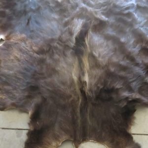 Moose Hide Taxidermy. O-121MB