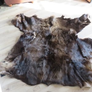 Moose Skin/Blanket. O-120MB