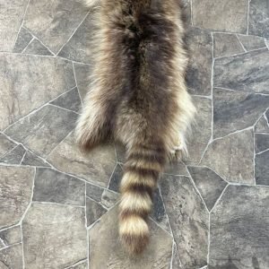 Raccoon Hide