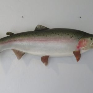Rainbow Trout 29″ Fish. F-108RT