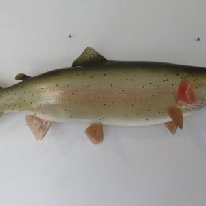 Rainbow Trout Taxidermy Mount. F-107RT