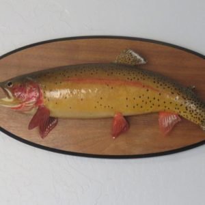 Real Skin Trout on Plaque. F-133TR