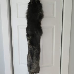 Silver Fox Taxidermy Fur. P-117SF