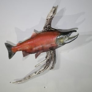 Sockeye Salmon Taxidermy. F-103SS
